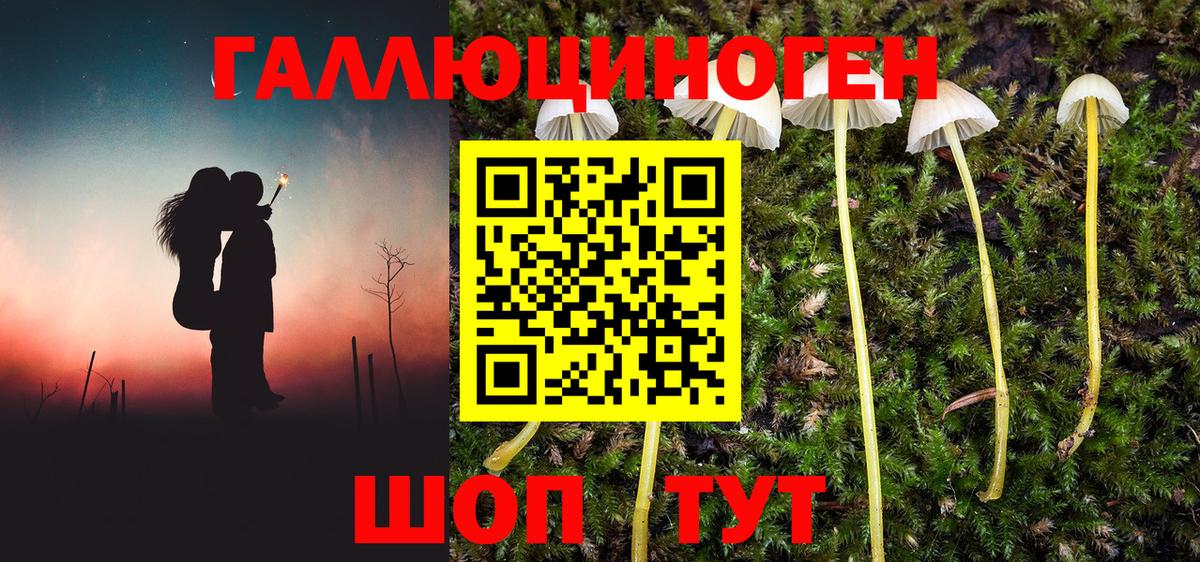 Куйбышев  Псилоцибиновые грибы ЛСД  Вход с VPN 
