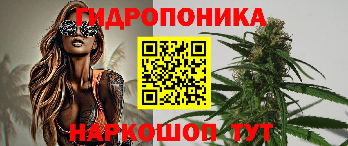 МАРИХУАНА гибрид Куйбышев